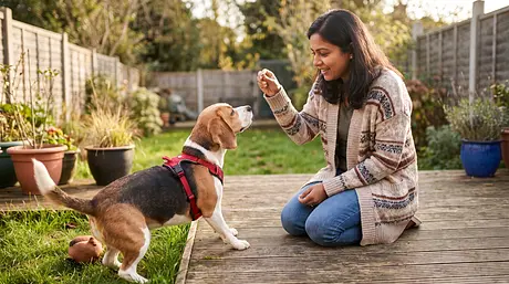 Perché i cani mangiano la cacca e come impedirlo
